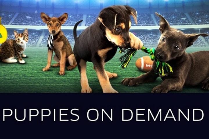 Puppies on demand